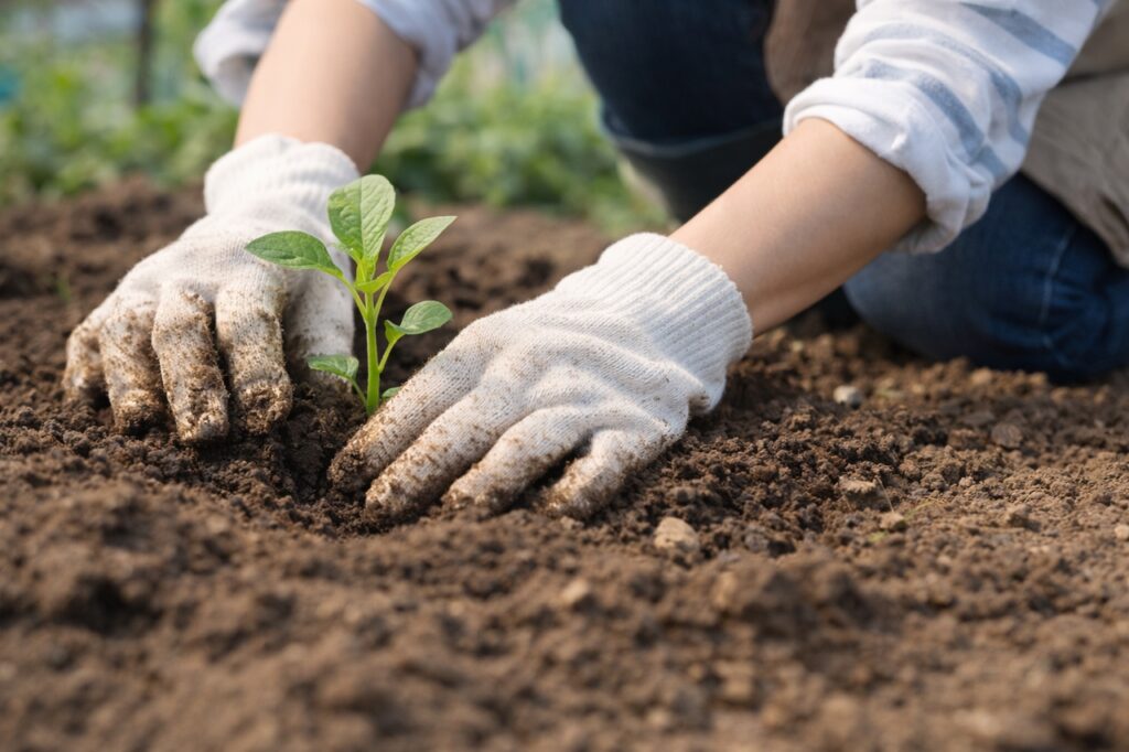 貸し農園で土に触れながら野菜の手入れをする女性の作業風景